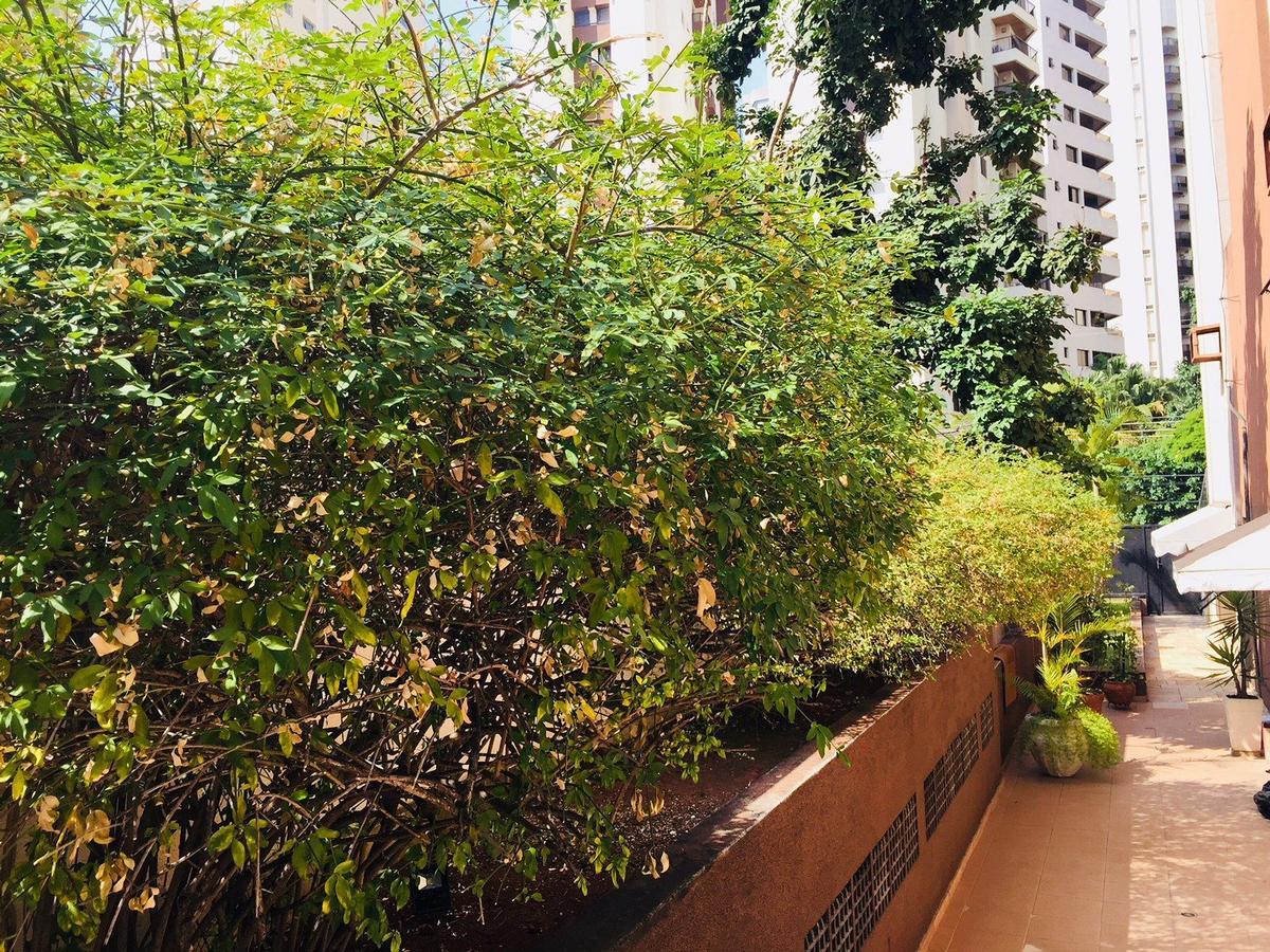 Duplex Moema Ao Lado Do Parque Leilighet São Paulo Eksteriør bilde